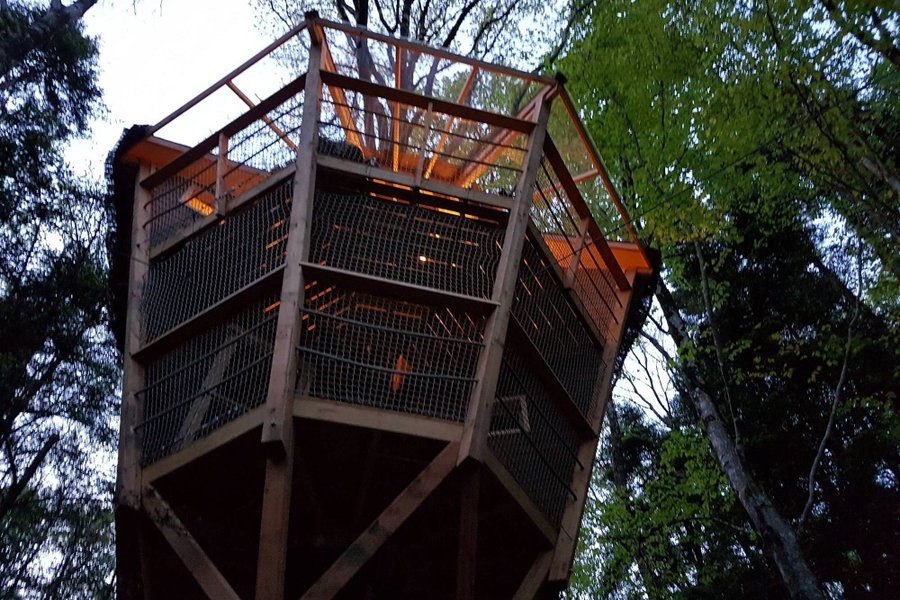 Cabane Ben Lomond — photo 2