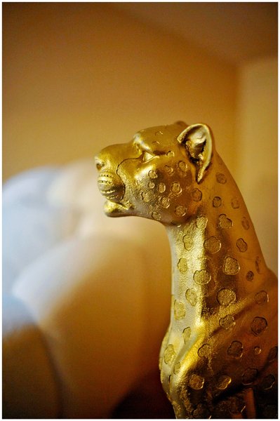 Hébergement AbracadaRoom : Évasion safari unique, SPA XXL, CASCADE D'EAU, CINÉMA PRIVÉ, 5 min du centre - Image 37