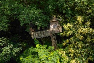 Cabane dans les arbres Oise