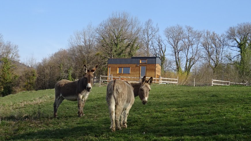 Domaine AbracadaRoom : Du Coq à l'Âne - Image 2