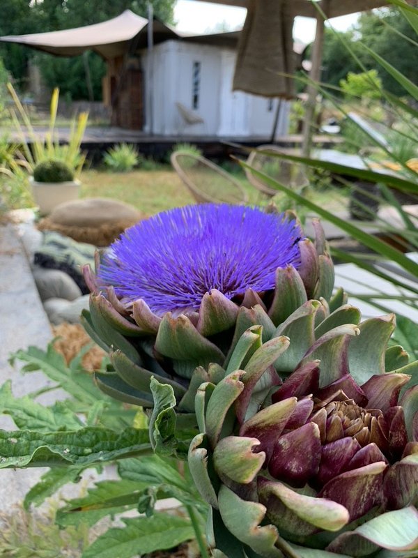 Spirit of Bali, Lodge insolite & luxe avec  SPA privatif à Saint Julien Le Montagnier (64)