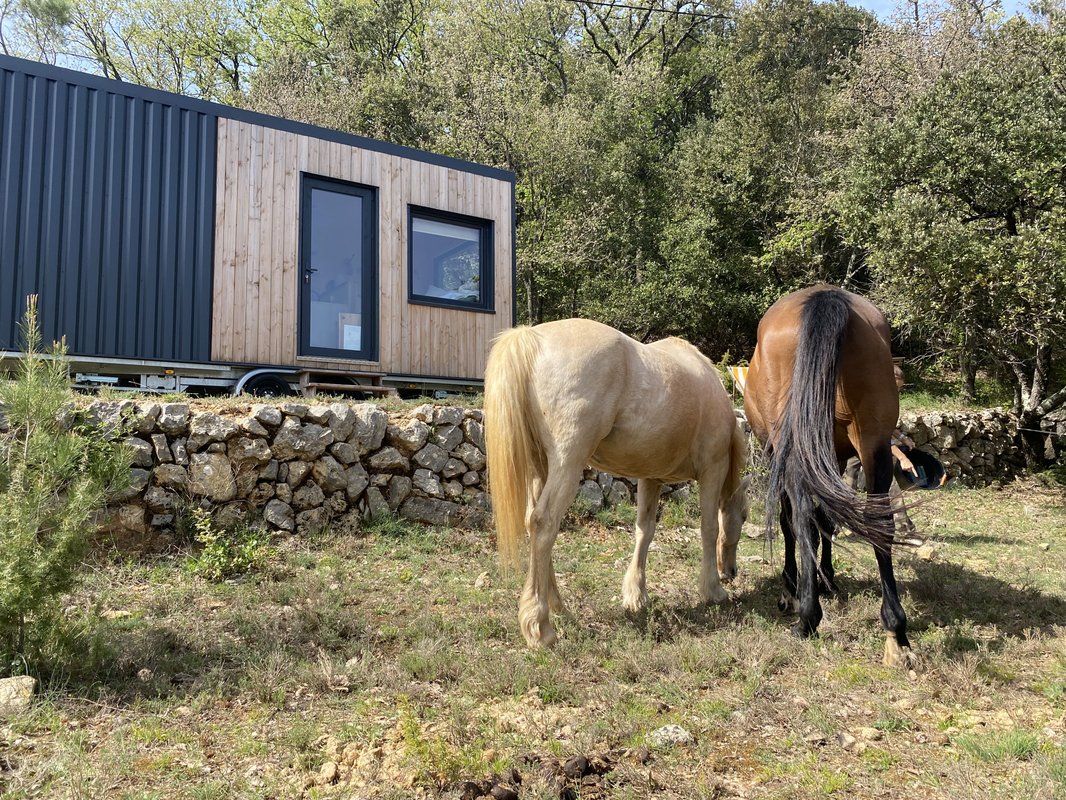 Les Restanques de Rioumard - Verdon à cheval à Varages (30)