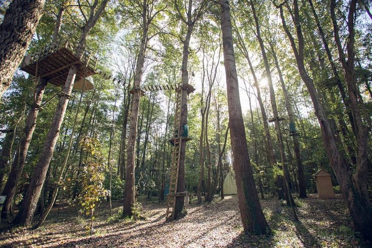 Hébergement AbracadaRoom : Bulle Haute la Maison du Rocher - Image 2