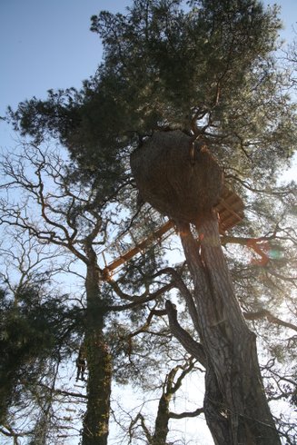 Hébergement AbracadaRoom : Cabane Cocon - Image 14