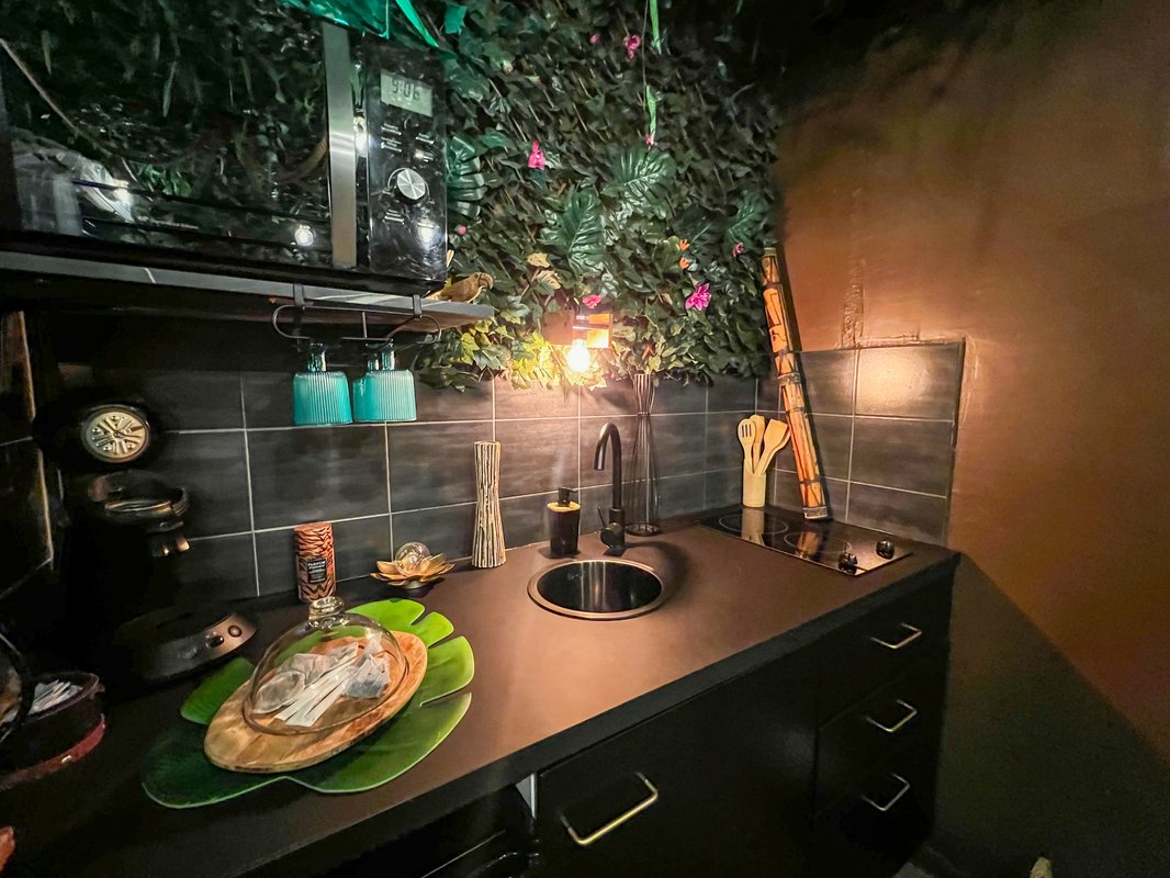 La Tanière de Mowgli - Plage du môle - Jungle Room à Cap D’agde (4)