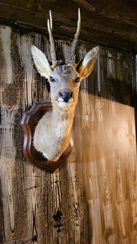 Hébergement AbracadaRoom : L'auberge du Trône - Image 10