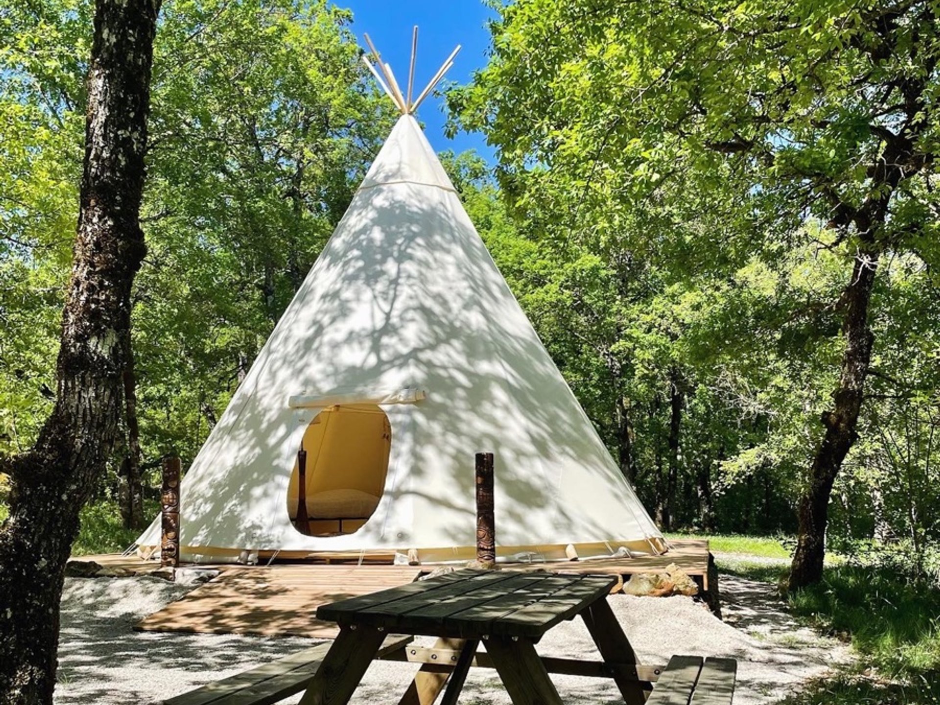 Dodo Tipi