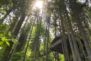 Treehouse Savoie