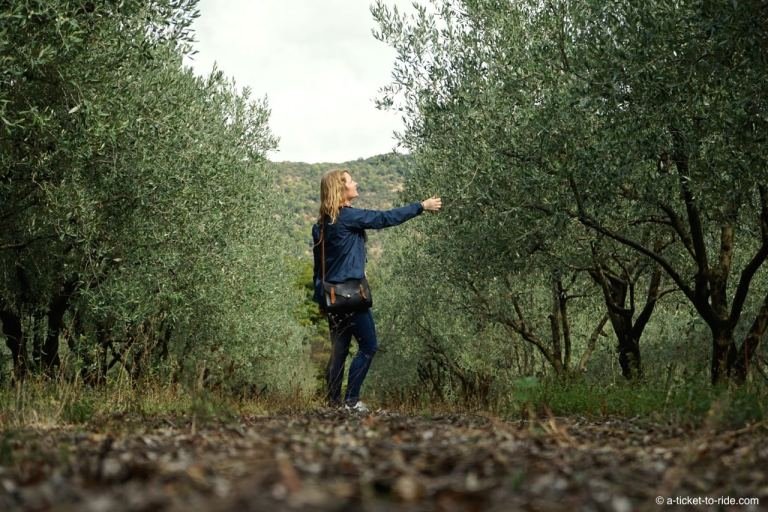 Domaine AbracadaRoom : Tonneau Insolite en Provence - Image 20