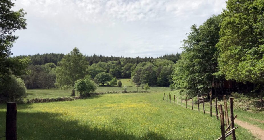 Domaine AbracadaRoom : Les Cabanes au Bord du Monde - Image 5