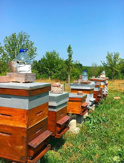 Domaine AbracadaRoom : Domaine des Essarts - Image 10