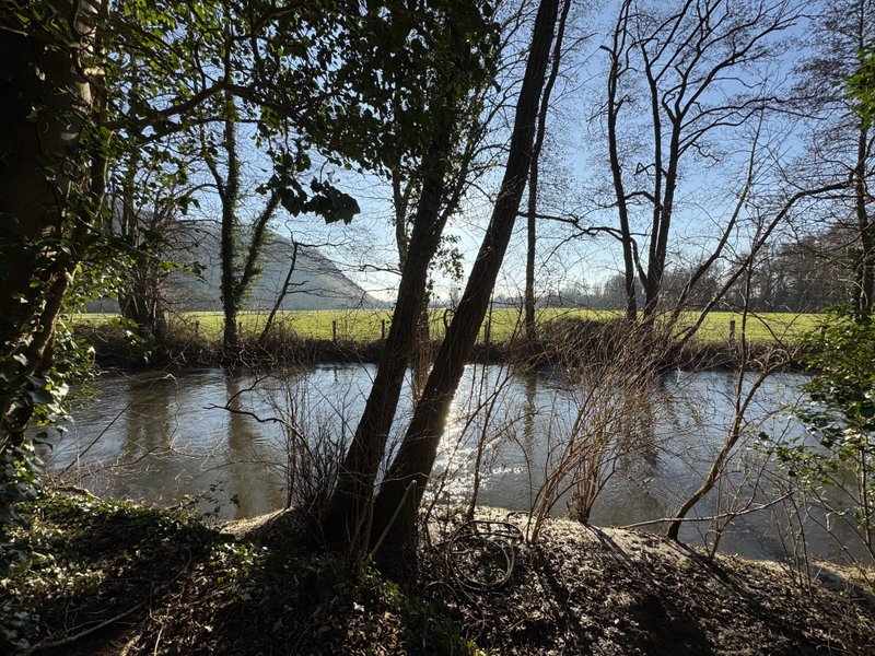 Domaine AbracadaRoom : L'île Merveilleuse - Image 4