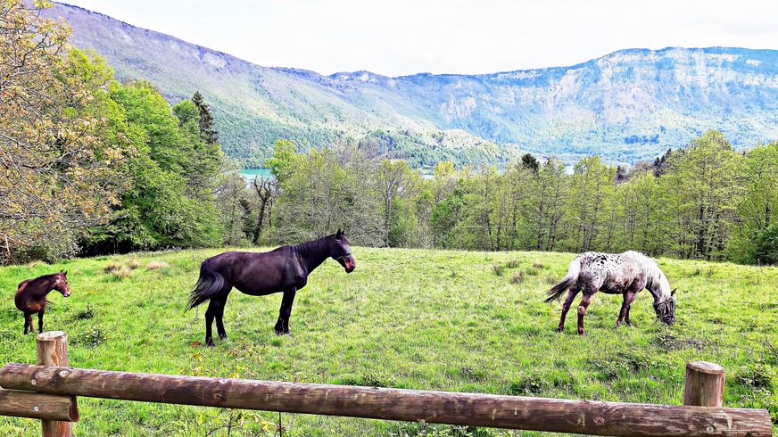 Hébergement AbracadaRoom : Bulle Texas – Luxe  & SPA – Vue Lac Aiguebelette - Image 56