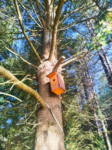 Domaine AbracadaRoom : Le Domaine des Anges - Image 19