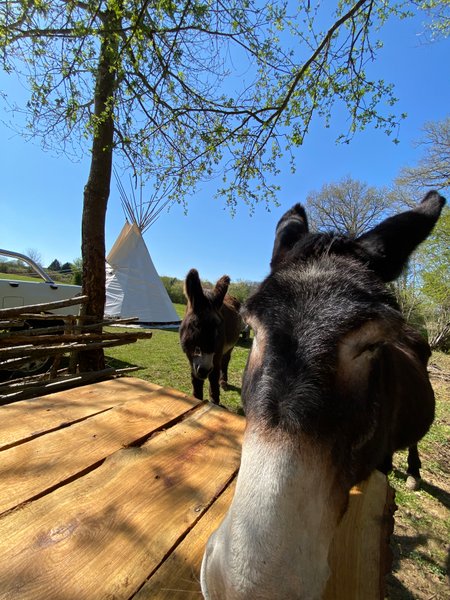 Hébergement AbracadaRoom : Tipi Lakota - Image 25