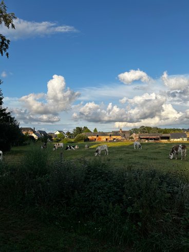 Domaine AbracadaRoom : Le Vert d'Orezza - Image 1