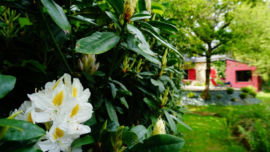 Domaine AbracadaRoom : Gîte L'extase - Image 12