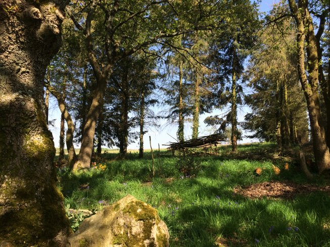 Domaine AbracadaRoom : Nuit Sauvage - Image 4