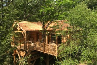 Treehouse Jura