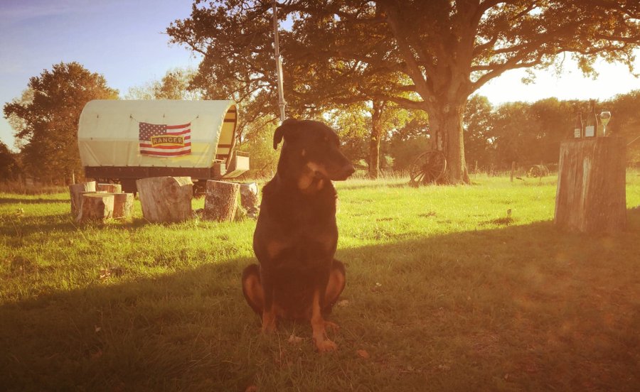 Hébergement AbracadaRoom : Le chariot RANGER - Image 6