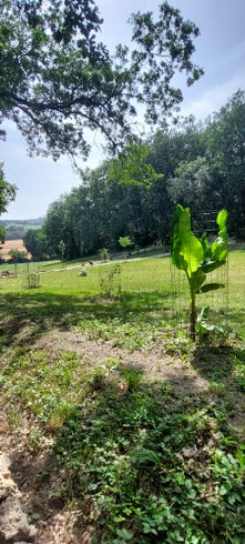 Domaine AbracadaRoom : Les Cottages de Sarrant - Image 11