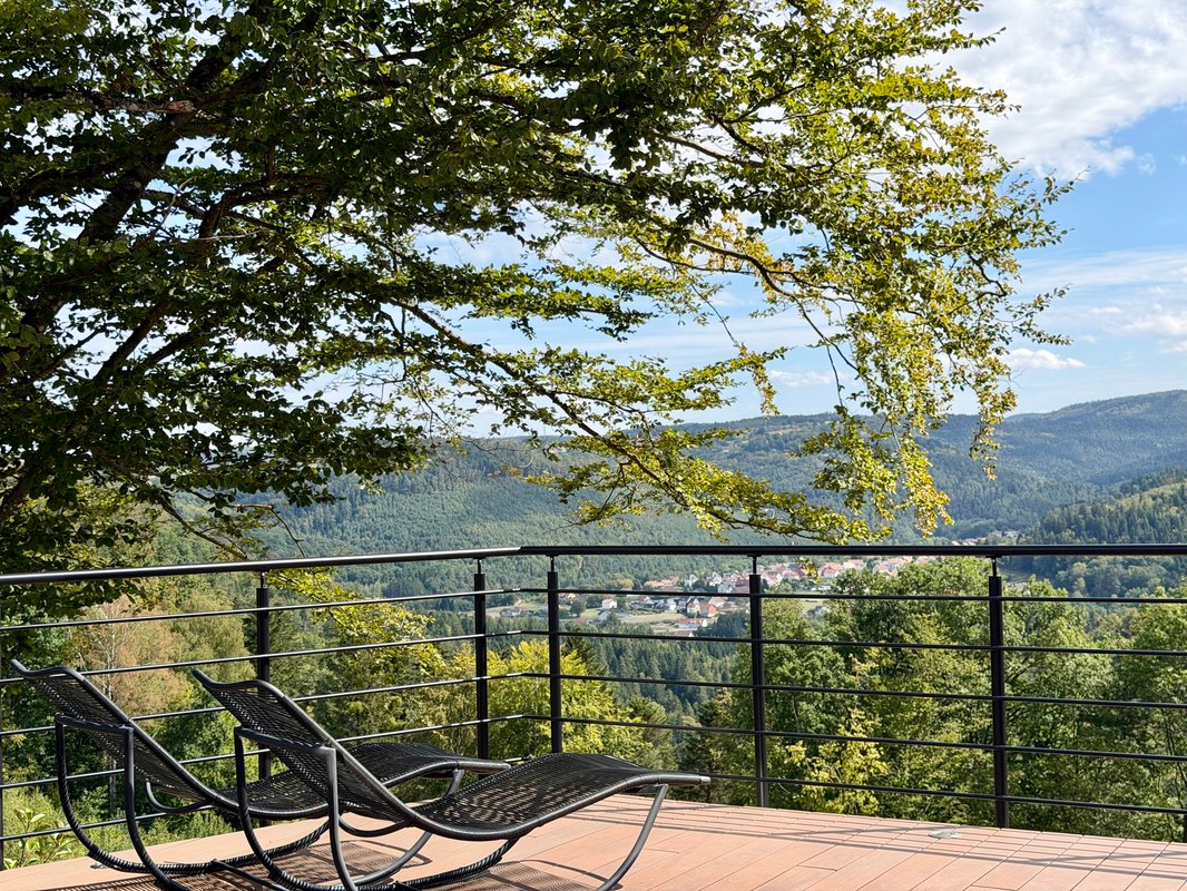 Dôme Orbe-Insolite-Sauna-Bain-Nordique-Climatisé à Hommert (23)