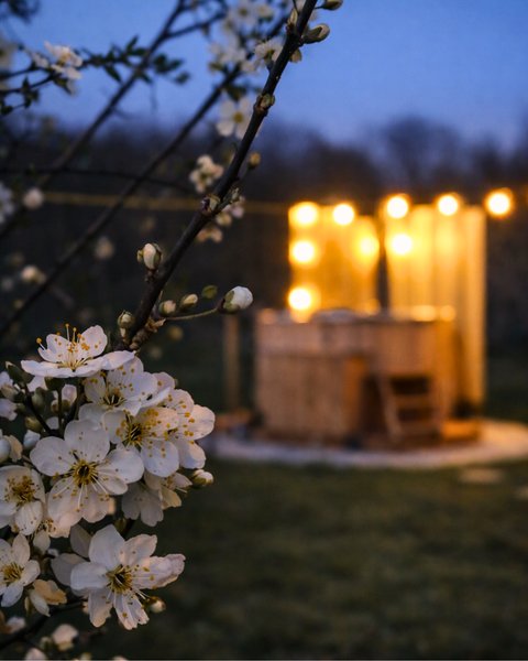 Domaine AbracadaRoom : Roulotte romantique à la campagne – Parenthèse insolite en Bourgogne | Autun · Morvan - Image 10
