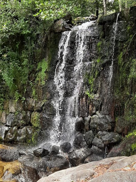 Hébergement AbracadaRoom : Roulotte de Lascoutch - Image 21