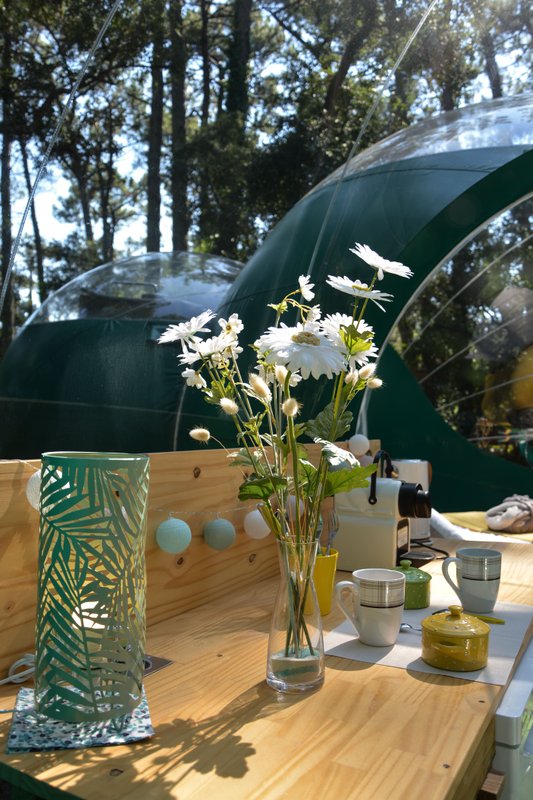 Bulle Verte d'Hossegor & Spa à Hossegor (7)