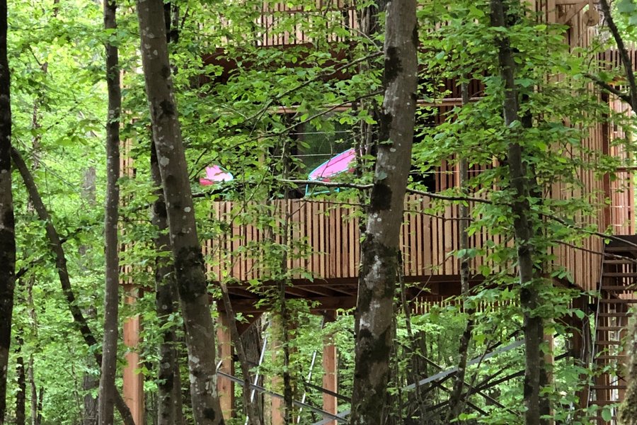 Suite « Madame C » & Spa — photo 2