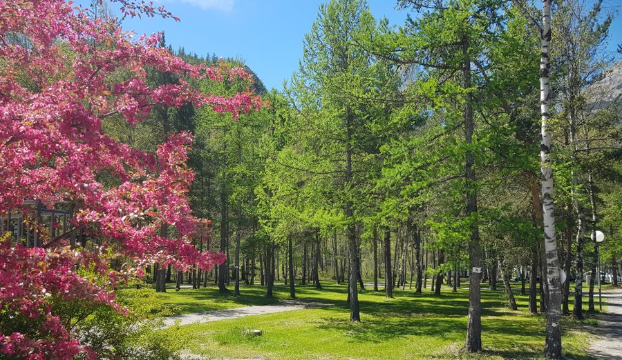 Hébergement AbracadaRoom : Kota Finlande & Spa - Image 17