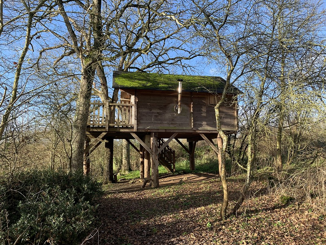 Cabane Perchée Chêne à Louverné (8)