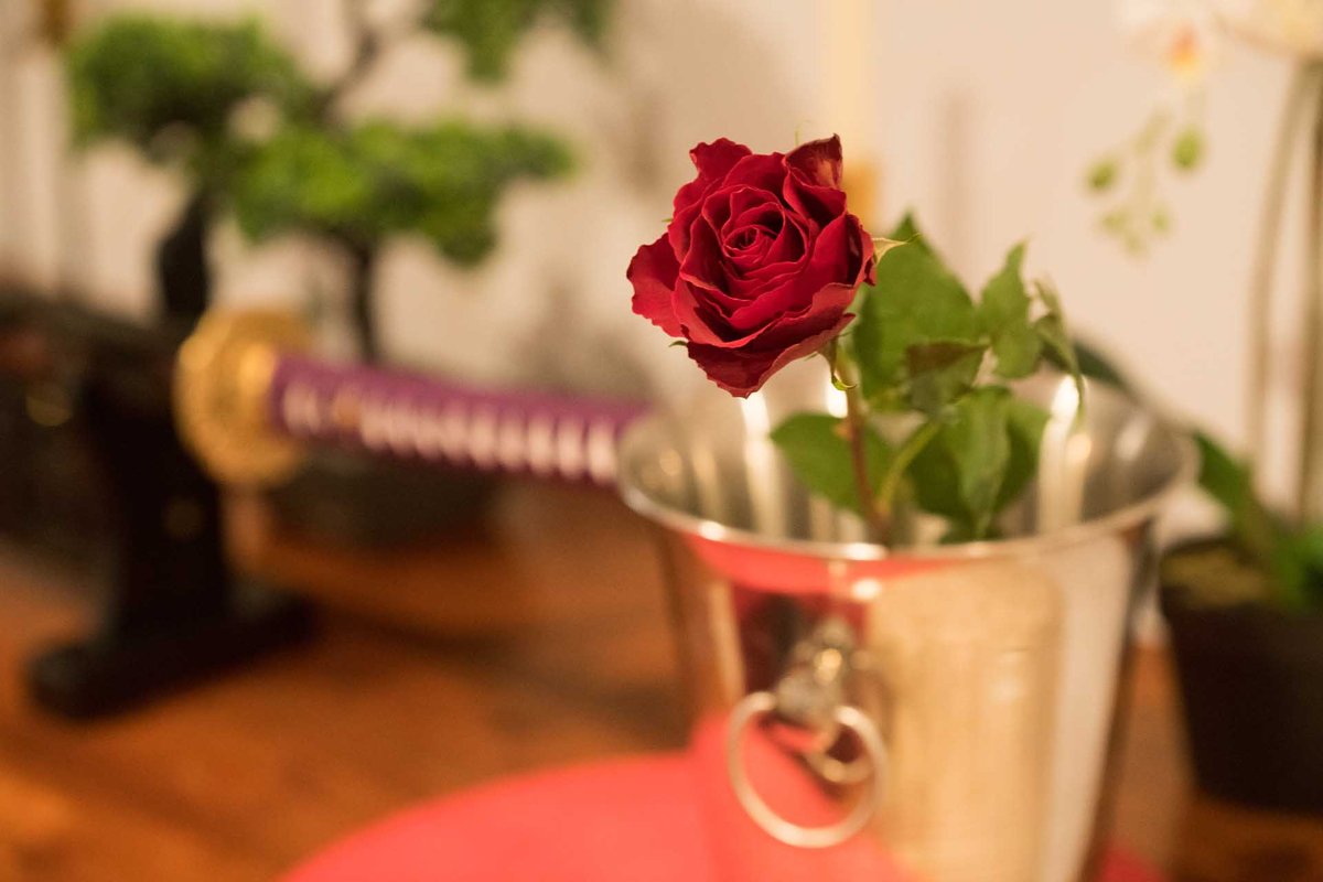 Le Jade Rouge spa & sauna à Barenton (15)