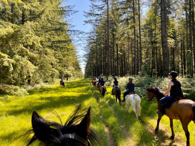 Domaine AbracadaRoom : L'Etape en Forêt - Image 16