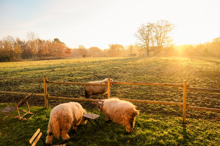 Hébergement AbracadaRoom : Homnest - Prairie des Âmes Heureuses - Occitanie - Image 32