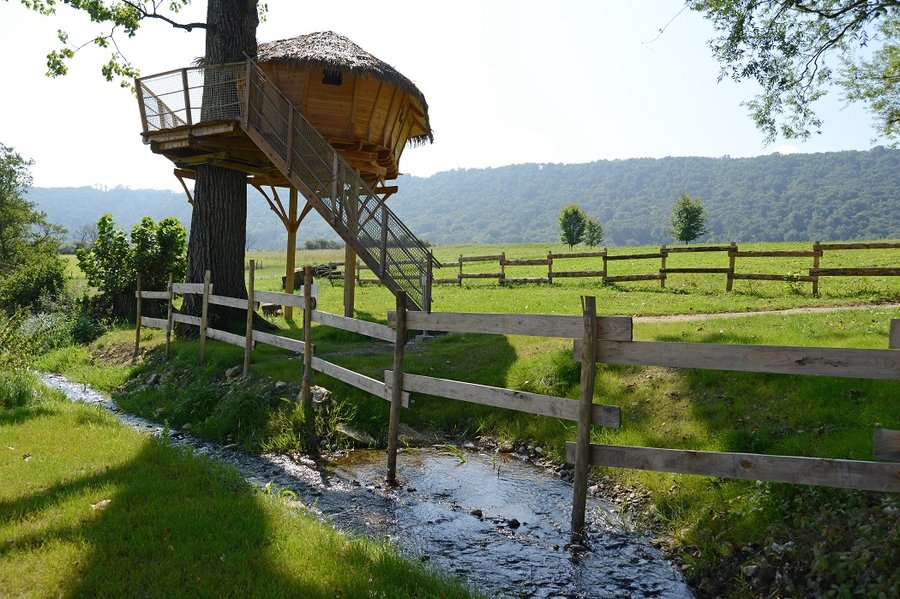 Hébergement AbracadaRoom : La Cabane du Domaine de Suzel - Image 1