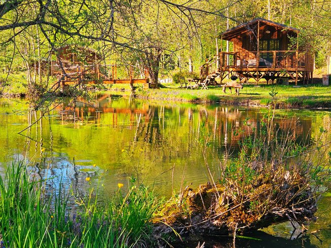 Hébergement AbracadaRoom : La Cabane du Héron, lodge sur pilotis, étang, nature, biodiversité - Image 4