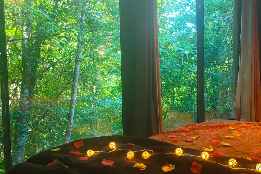 La Cabane Enchanteresse & SPA — photo 2