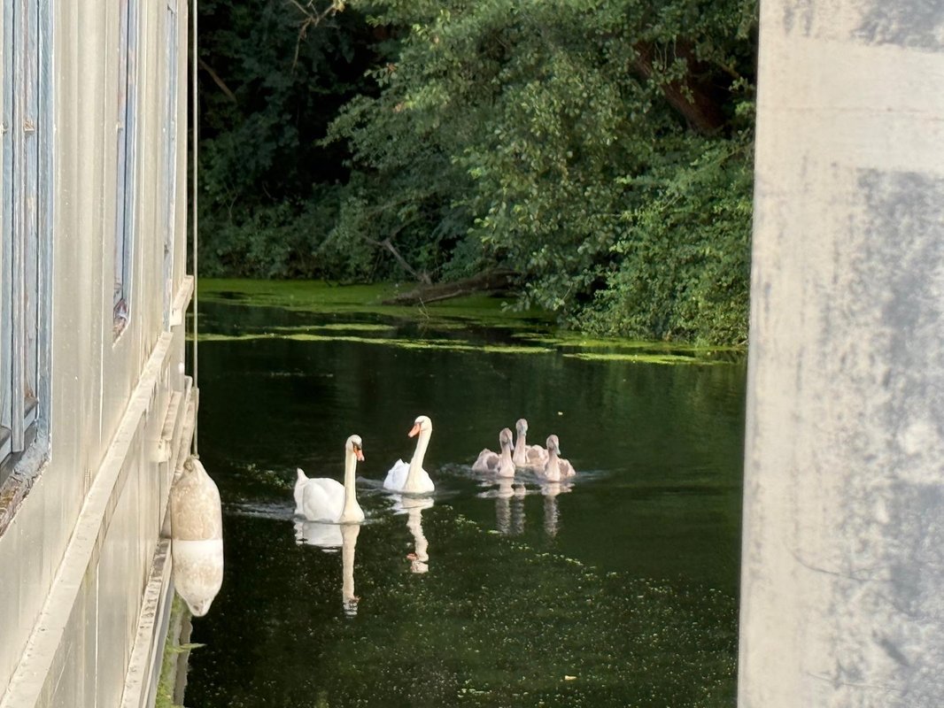 Péniche sur la Seine à Vigneux-Sur-Seine (12)