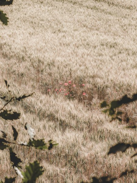 Domaine AbracadaRoom : Domaine Amaia - Image 67