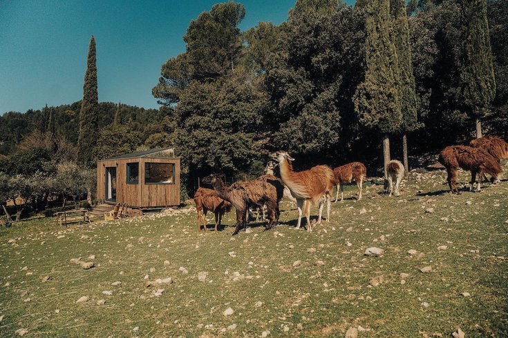 Domaine AbracadaRoom : Parcel Tiny House - au pied du Mont Ventoux - Image 37