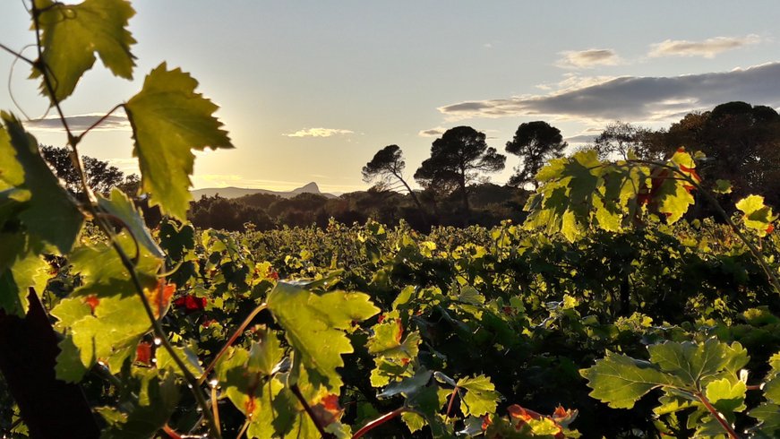 Domaine AbracadaRoom : Hôtel Les Prés du Roi, Domaine de Massereau - Image 11