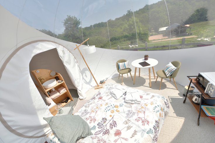 Hébergement AbracadaRoom : Bulle Ecureuil - Image 24