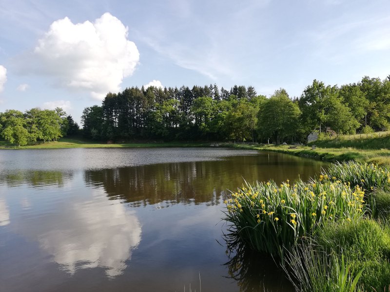 Domaine AbracadaRoom : Kabaneko - Image 7