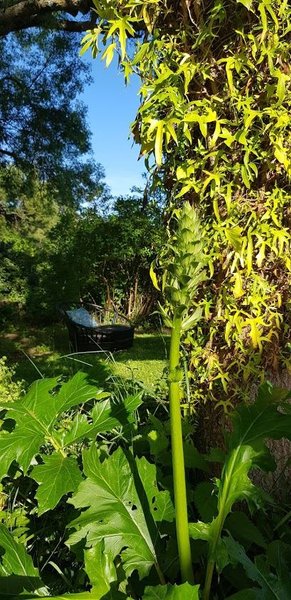 Domaine AbracadaRoom : Bohème Glamping Expérience - Image 4