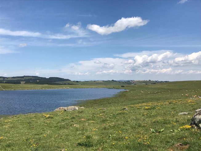 Domaine AbracadaRoom : Buron Cœur D'Aubrac - Image 4