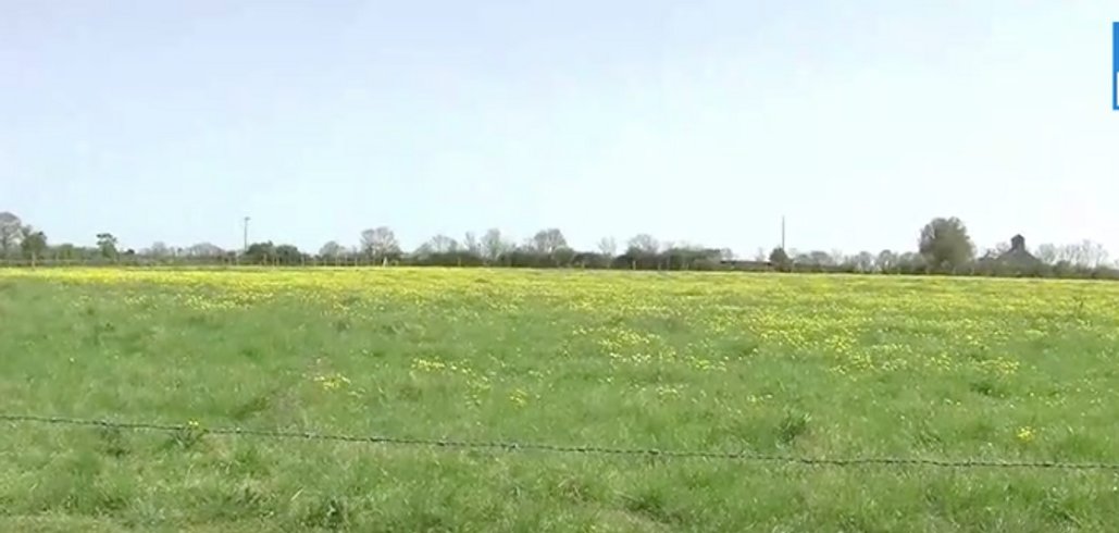 Domaine AbracadaRoom : Ferme des Coutures - Image 2