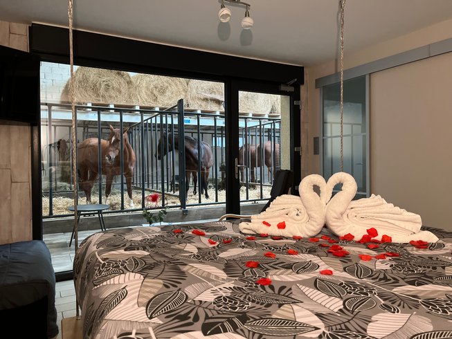 Hébergement AbracadaRoom : Suite 3 - 3 pers. terrasse avec des chevaux pour voisin de chambre - Image 7