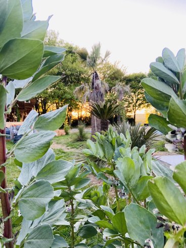 Domaine AbracadaRoom : Jardin Zen du Quistillic - Image 12