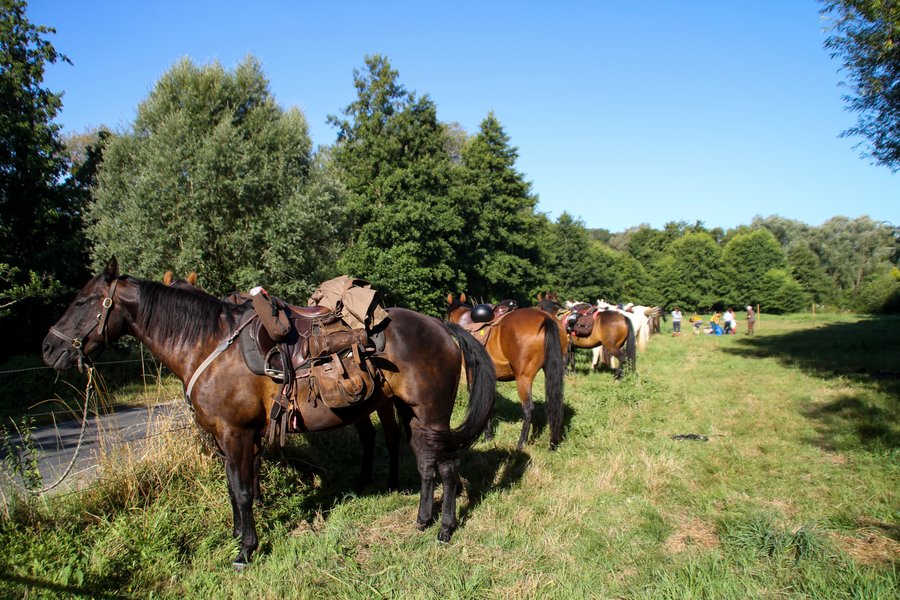 Domaine AbracadaRoom : Domaine du Lieu Dieu - Image 17